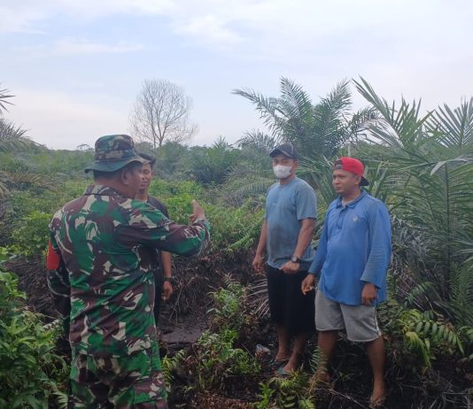 Babinsa Pelintung Gencarkan Patroli dan Sosialisasi Pencegahan Karhutla di Medang Kampai