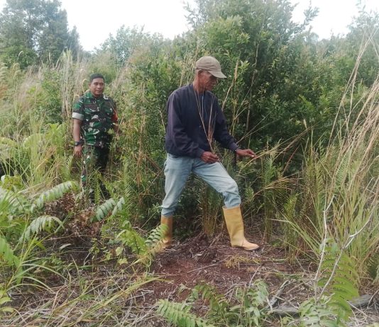 Babinsa Rimba Sekampung Patroli Karhutla dan Sosialisasi Banjir, Dampingi Penyemaian Bayam di Dumai Barat