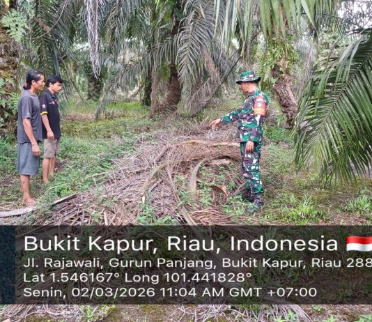Babinsa Gurun Panjang Gencarkan Patroli dan Sosialisasi Cegah Karhutla di Bukit Kapur