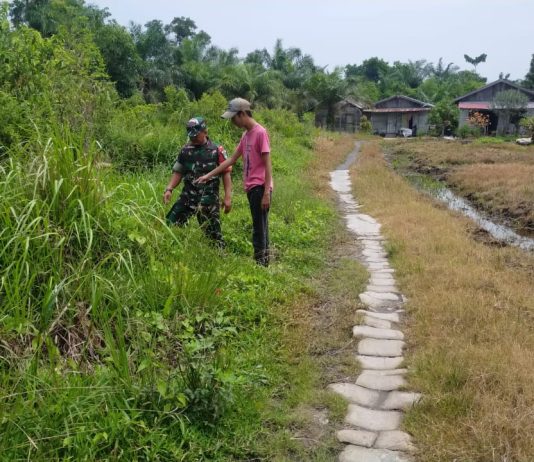 Babinsa Bangsal Aceh Koramil 03/Sungai Sembilan Laksanakan Patroli dan Sosialisasi Pencegahan Karhutla di Jalan Pribumi