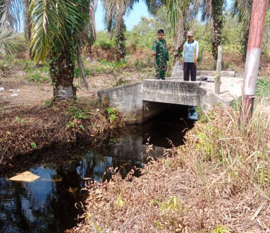 Babinsa Kelurahan Purnama Sertu Mahyudin Laksanakan Patroli Karhutla, Sosialisasi Banjir dan Pendampingan Tanaman Bayam di Bagan Keladi