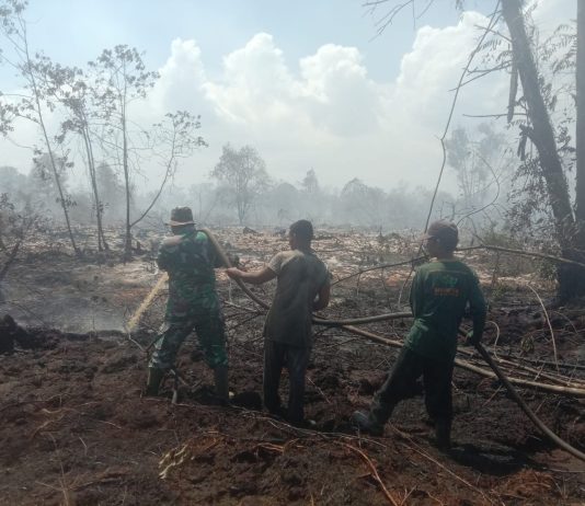 Personel Kodim Dumai Terlibat Pemadaman Karhutla di Teluk Makmur, 13 Hektare Lahan Terbakar