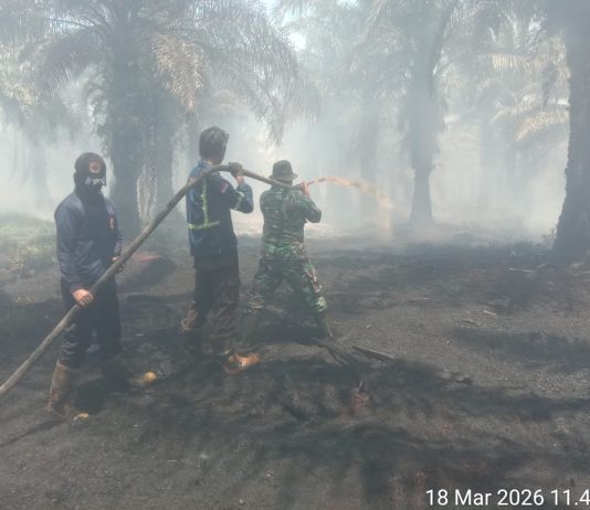 Upaya pemadaman dan pendinginan kebakaran hutan dan lahan terus dilakukan di wilayah Kelurahan Teluk Makmur, Kecamatan Medang Kampai, Kota Dumai,