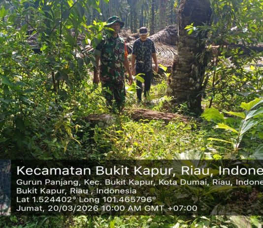 Babinsa Gurun Panjang Gencarkan Patroli dan Sosialisasi Karhutla di Bukit Kapur