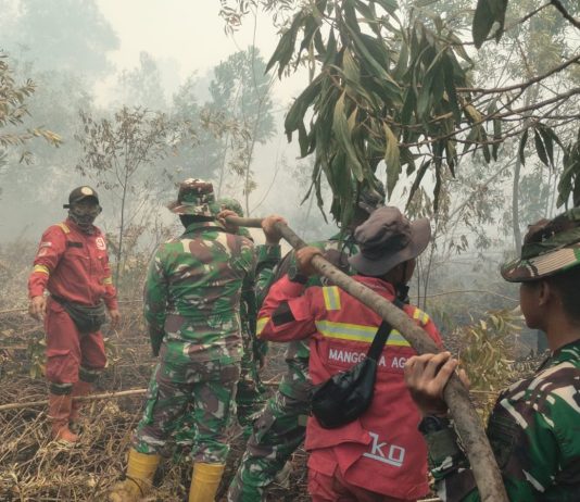 Karhutla 100 Hektare, Kodim 0320 Dumai Bergerak Cepat Lakukan Pemadaman