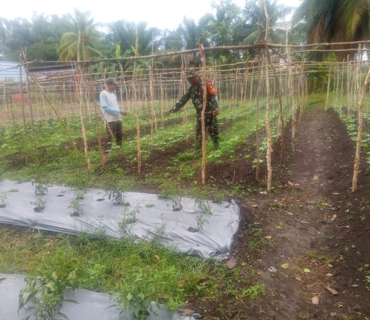 Babinsa Bagan Keladi Gencarkan Patroli Karhutla dan Sosialisasi Banjir di Dumai Barat