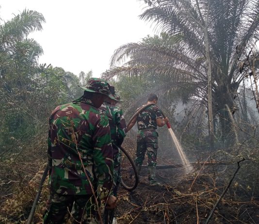 Helikopter Water Bombing Dikerahkan, TNI Pimpin Penanganan Karhutla di Dumai