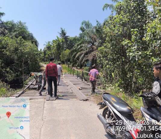 Babinsa Lubuk Gaung Bersama Warga Gotong Royong Bersihkan Area Jembatan Sukarame