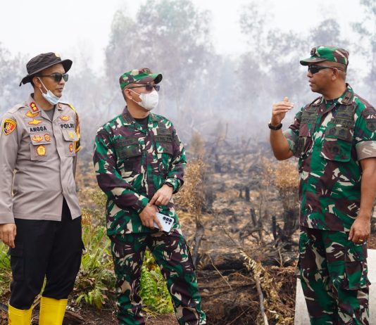 Karhutla Dumai, Danrem 031/WB Tekankan Sinergitas TNI Lakukan Pemadaman dan Pendinginan Secara Maksimal