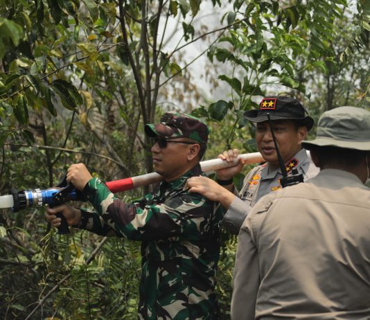 Dandim 0320/Dumai Dampingi Kapolda Riau Tinjau Karhutla, TNI AD Perkuat Respons Cepat di Lapangan