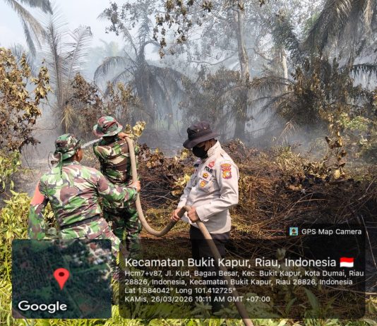 Kebakaran Lahan Gambut 11 Hektare di Bukit Kapur Dumai Berhasil Dipadamkan, Pendinginan Masih Berlangsung
