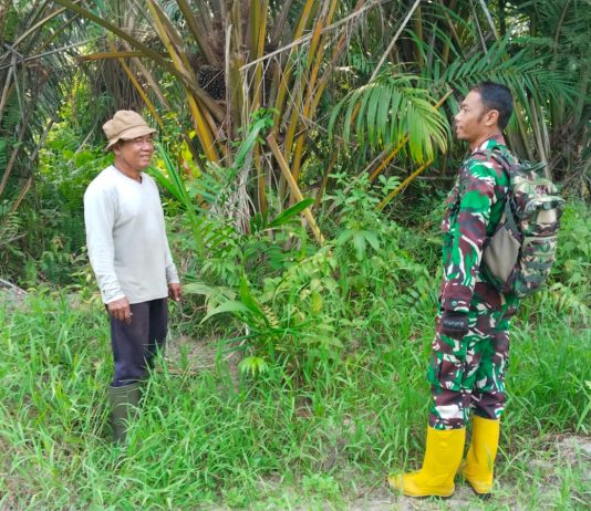Tanjung Penyembal Gencarkan Patroli Karhutla, Edukasi Warga Cegah Pembakaran Lahan di Dumai