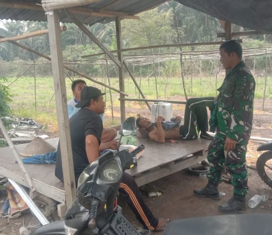 Babinsa Basilam Baru Dampingi Petani Cabai Rawit, Dukung Ketahanan Pangan di Sungai Sembilan