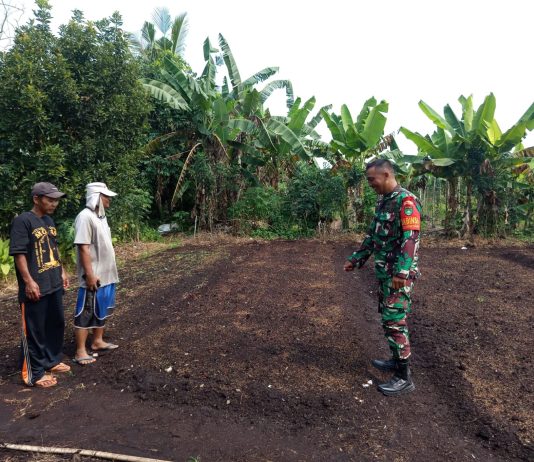 Babinsa Dumai Barat Gencarkan Patroli Karhutla, Sosialisasi Banjir dan Dampingi Pertanian Warga