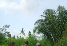 Babinsa Buluh Kasap Patroli Karhutla dan Sosialisasi Banjir di Dumai Timur