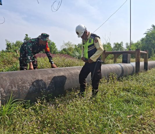 Babinsa Koramil 03/Sungai Sembilan Dampingi Petani Mentimun, Dorong Produktivitas dan Cegah Karhutla di Lubuk Gaung