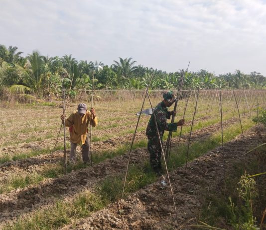 Patroli Terpadu Babinsa dan PHR Perkuat Pengamanan Jalur Pipa Minyak di Dumai