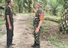 Babinsa Koramil 01/Dumai Aktif Patroli Karhutla dan Dampingi Warga Kelola Lahan Pertanian