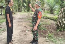 Babinsa Koramil 01/Dumai Aktif Patroli Karhutla dan Dampingi Warga Kelola Lahan Pertanian