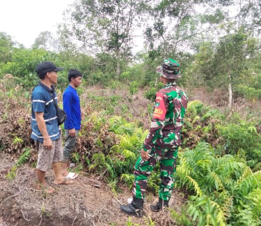Babinsa Dumai Intensifkan Patroli Karhutla dan Edukasi Warga, Sekaligus Dampingi Karya Nyata