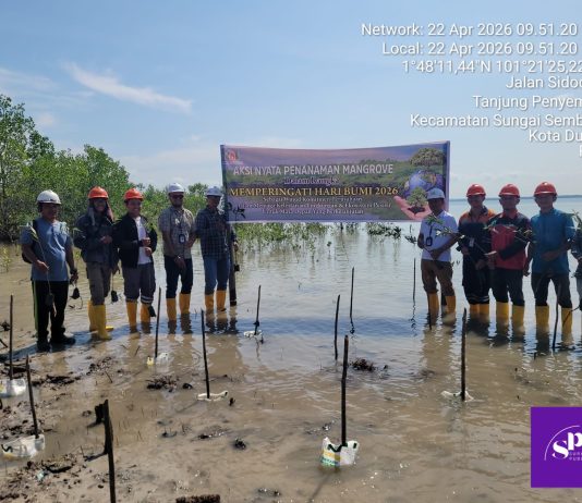 Peringati Hari Bumi ke-56, PT Sumber Tani Agung Oils And Fats Tanam 1.000 Mangrove di Pesisir Dumai