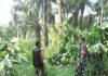 Babinsa Sungai Sembilan Gencarkan Patroli dan Sosialisasi Karhutla, Wilayah Terpantau Aman