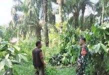 Babinsa Sungai Sembilan Gencarkan Patroli dan Sosialisasi Karhutla, Wilayah Terpantau Aman