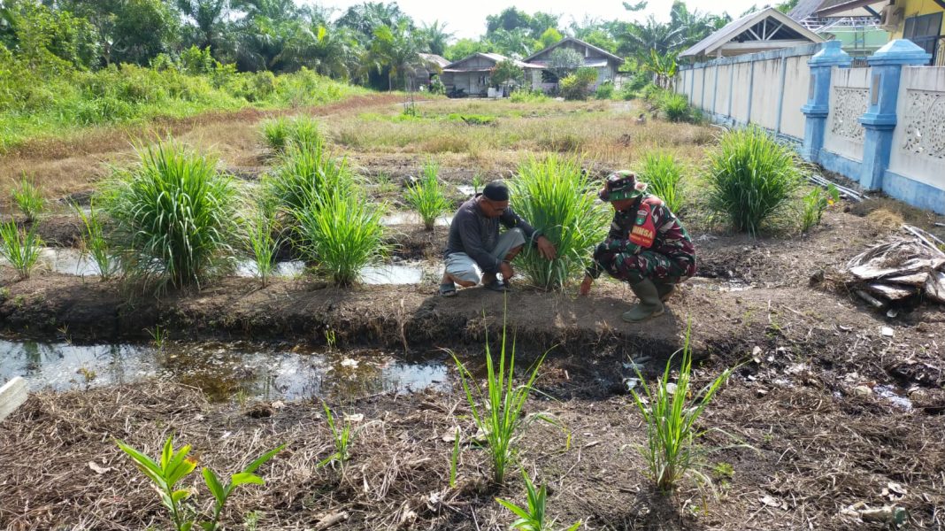 IMG-20260426-WA0068