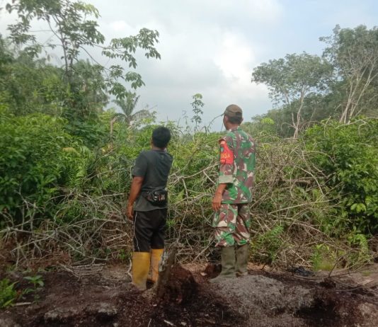 Babinsa Koramil 02 Bukit Kapur Intensifkan Patroli dan Sosialisasi Cegah Karhutla di Mundam