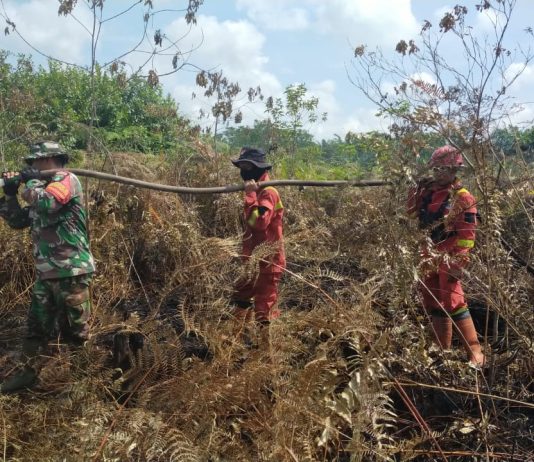 Tim Gabungan Berhasil Padamkan Karhutla 7 Hektare di Sungai Sembilan, Pendinginan Terus Dilakukan
