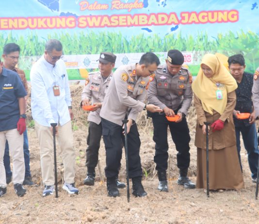 Kapolres Dumai Pimpin Penanaman Bibit Jagung Pipil
