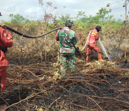 Hari Keempat Penanganan Karhutla di Sungai Sembilan, Tim Gabungan Intensifkan Pemadaman dan Pendinginan