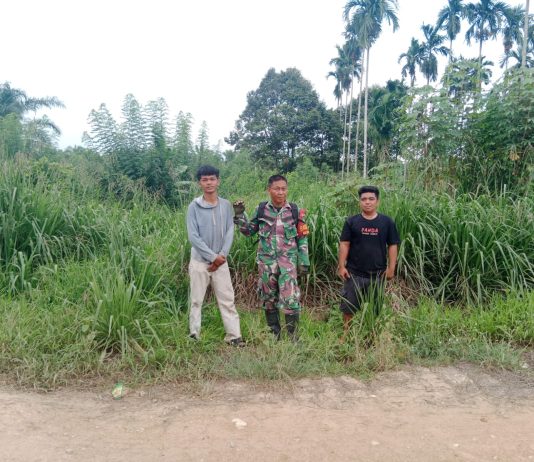 Babinsa Sungai Geniot Perkuat Patroli dan Edukasi, Tegaskan Komitmen Cegah Karhutla di Sungai Sembilan