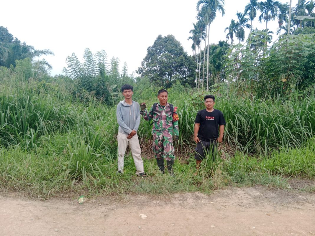 IMG-20260501-WA0100