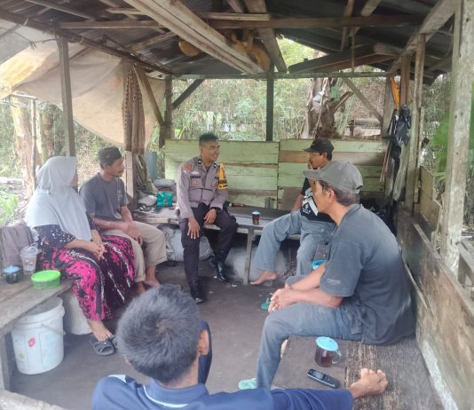 Bhabinkamtibmas Bukit Kapur Dampingi Petani Cek Perkembangan Jagung Pipil, Kapolsek IPTU Zulfahli Tegaskan Dukungan Ketahanan Pangan