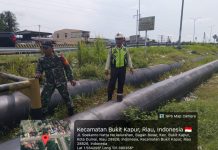 Babinsa Koramil 03/Sungai Sembilan Dampingi Petani Gambas, Perkuat Ketahanan Pangan dan Pembinaan Teritorial di Dumai