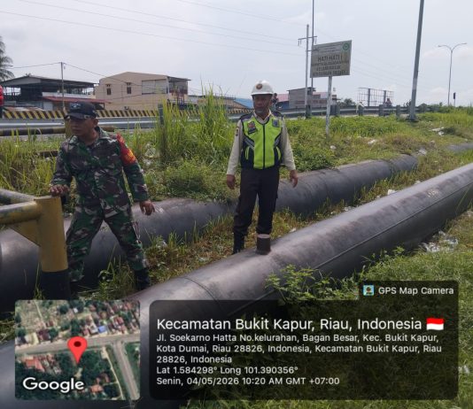 Babinsa Koramil 03/Sungai Sembilan Dampingi Petani Gambas, Perkuat Ketahanan Pangan dan Pembinaan Teritorial di Dumai