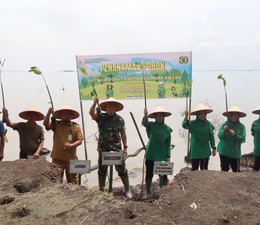 Kodim 0320/Dumai Gelar Penanaman 150 Mangrove di Pantai Batu Bintang dalam Rangka HUT Ke-80 Persit