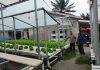 Bhabinkamtibmas Bukit Batrem Bersama Petani Cek Pekarangan Pangan Bergizi Dukung Ketahanan Pangan Nasional