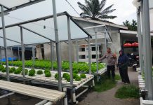 Bhabinkamtibmas Bukit Batrem Bersama Petani Cek Pekarangan Pangan Bergizi Dukung Ketahanan Pangan Nasional
