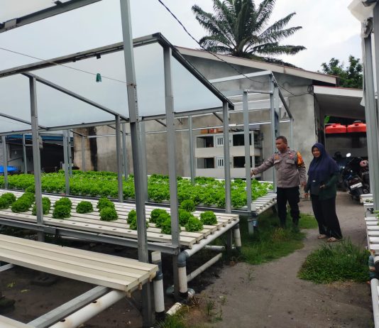Bhabinkamtibmas Bukit Batrem Bersama Petani Cek Pekarangan Pangan Bergizi Dukung Ketahanan Pangan Nasional