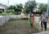Bhabinkamtibmas Polsek Dumai Timur Bersama Petani Cek Pekarangan Pangan Bergizi Dukung Ketahanan Pangan Nasional