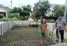 Bhabinkamtibmas Polsek Dumai Timur Bersama Petani Cek Pekarangan Pangan Bergizi Dukung Ketahanan Pangan Nasional