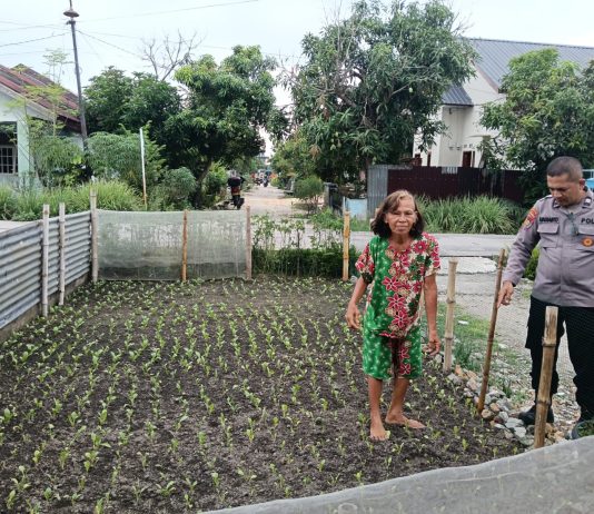 Bhabinkamtibmas Polsek Dumai Timur Bersama Petani Cek Pekarangan Pangan Bergizi Dukung Ketahanan Pangan Nasional