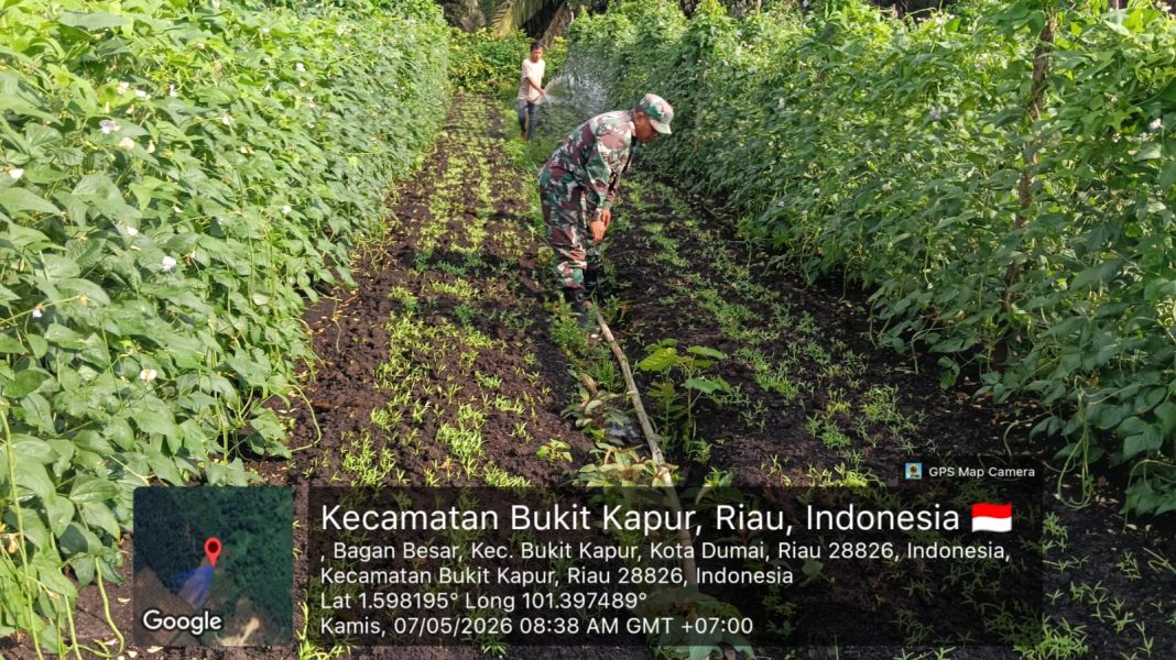 IMG-20260508-WA0077(1)