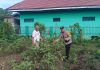 Polsek Dumai Barat Bersama Petani Lakukan Pengecekan Pekarangan Pangan Bergizi di Kelurahan STDI