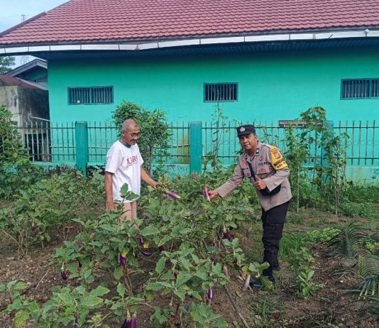 Polsek Dumai Barat Bersama Petani Lakukan Pengecekan Pekarangan Pangan Bergizi di Kelurahan STDI