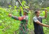Babinsa Sungai Sembilan Dampingi Warga Rawat Tanaman Gambas di Bangsal Aceh