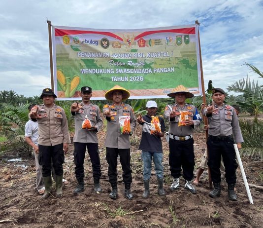 Kapolsek Bukit Kapur Pimpin Penanaman Jagung Bersama Personel Dukung Ketahanan Pangan Nasional