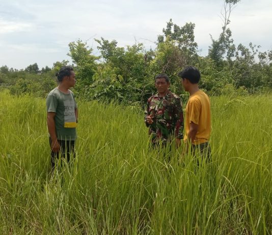 Babinsa Koramil 03/Sungai Sembilan Intensifkan Patroli dan Sosialisasi Pencegahan Karhutla di Basilam Baru